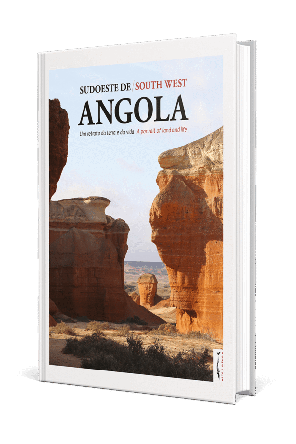 Sudoeste de Angola