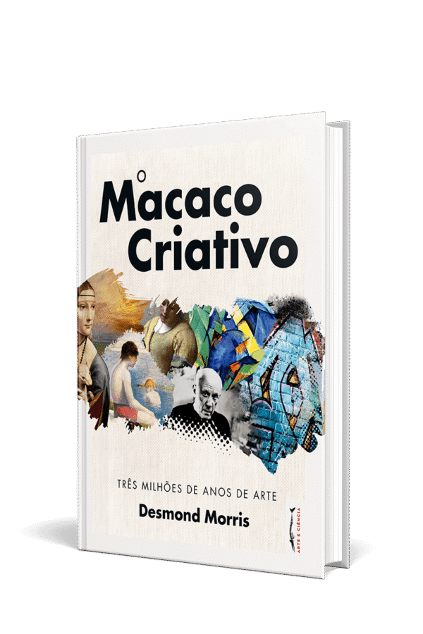 macaco-criativo-tinified O Macaco Criativo