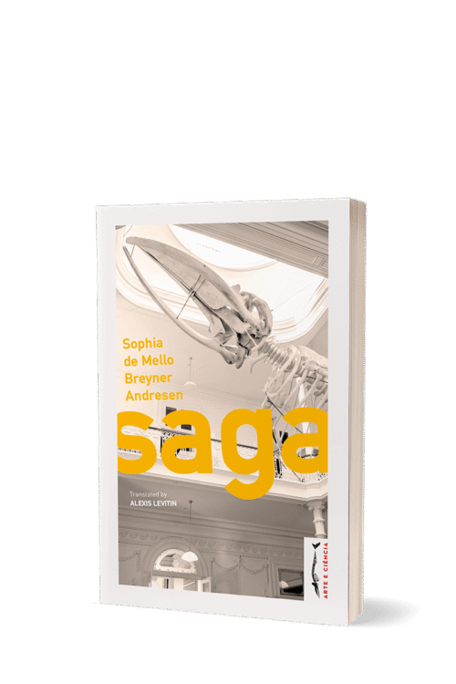 Saga - Edição Inglesa