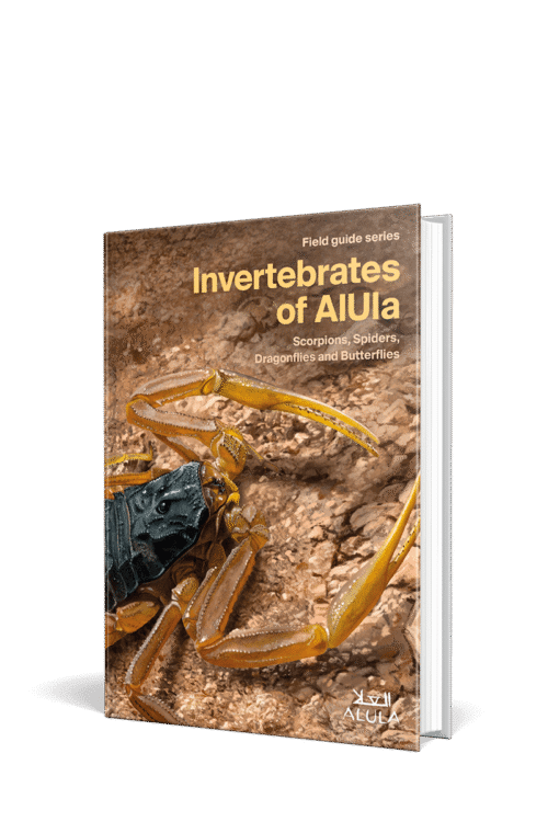 Invertebrates of AlUla [Ed. Arabe]